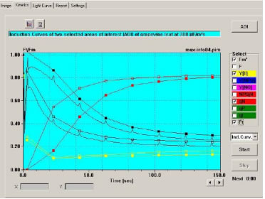 兩個 AOI 的Fm’, Y(II), qN, Ft 誘導曲線.jpg